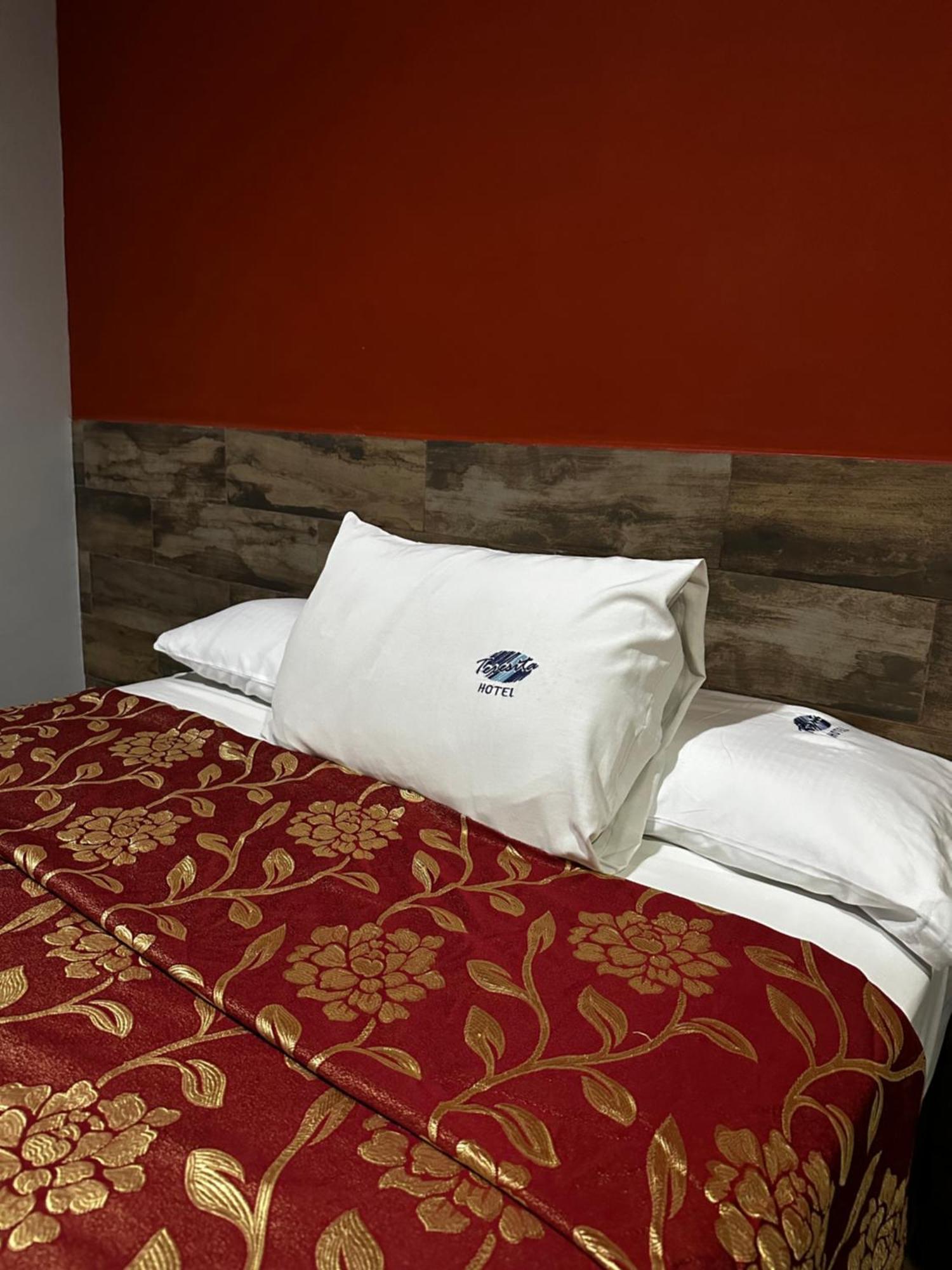 Hotel Teresita Пуэбла Экстерьер фото